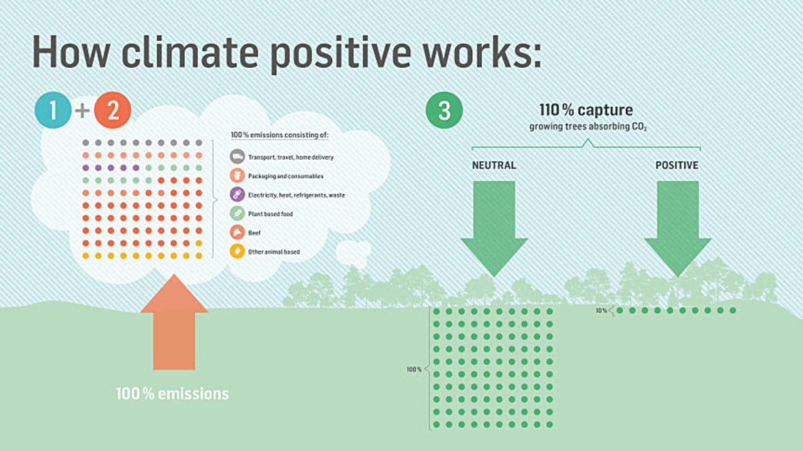 Climate-positive Burgers. How it works.  Illustration.